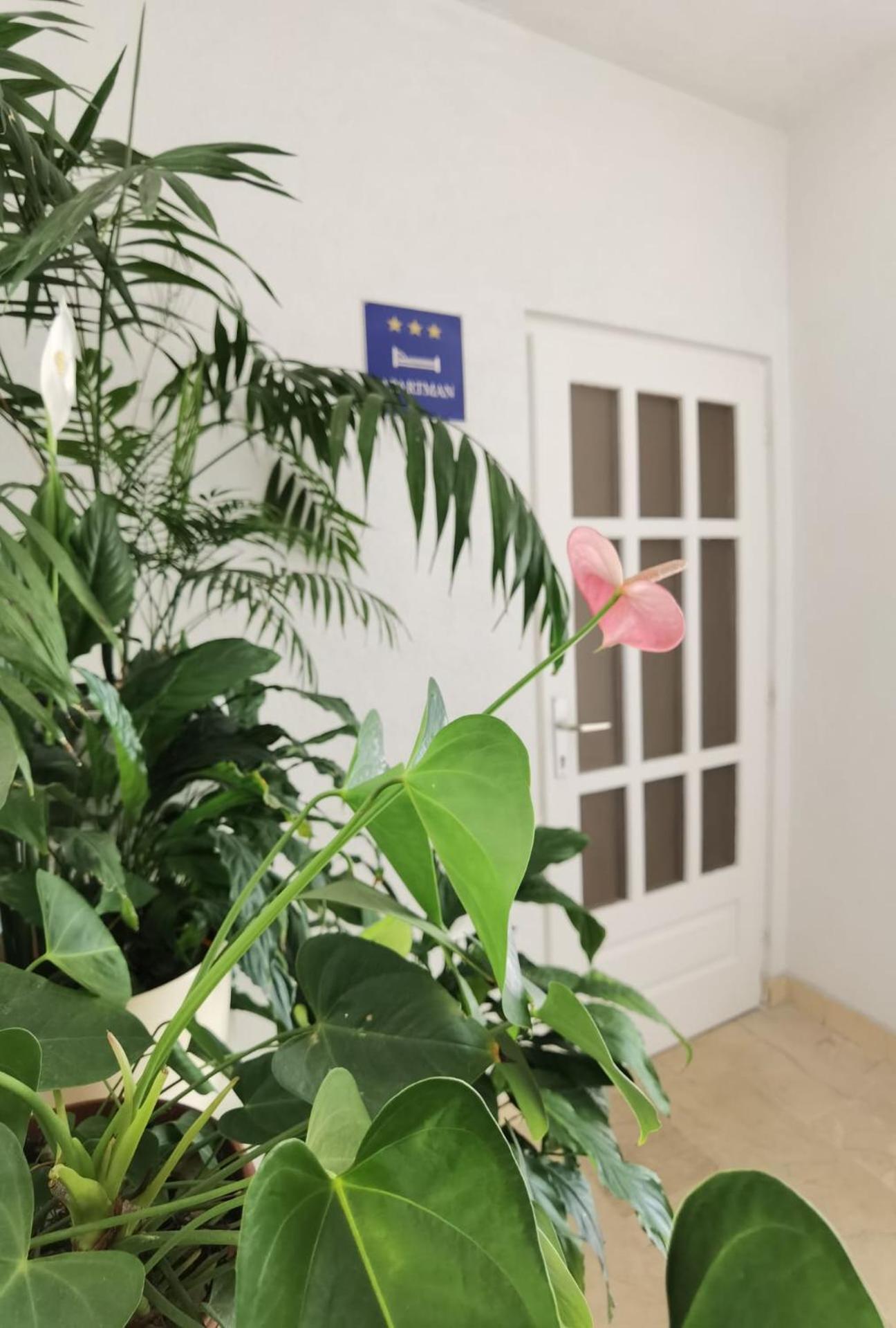 Apartment Jadranka Makarská Exteriér fotografie
